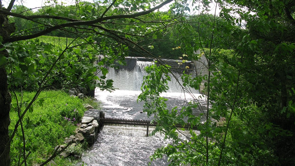 Spring Dam (2)